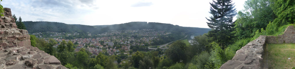 Blick auf Neckargerach von der Minneburg am nächsten Morgen