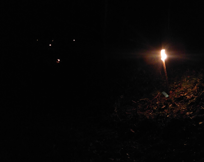 Lichterspur in Raumünzach