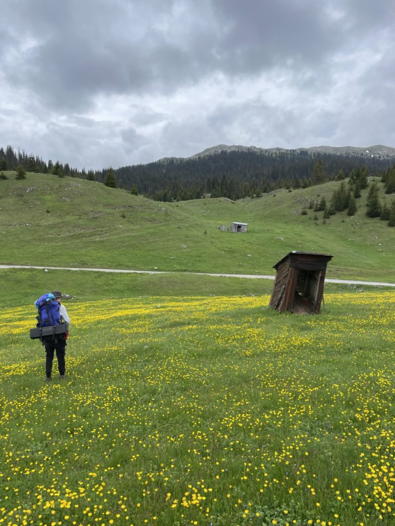 Klohaus auf der Wiese